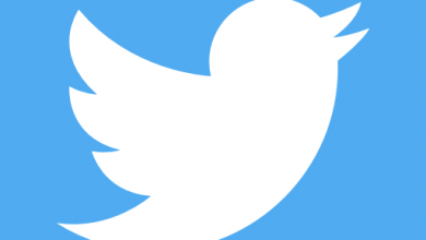 A white and blue twitter logo