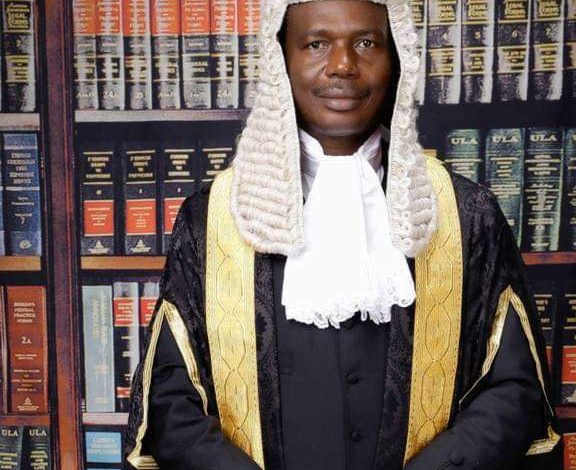 Ebun-Olu Adegboruwa wearing his legal robes